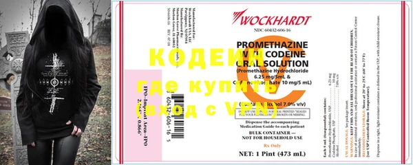 хмурый Касимов