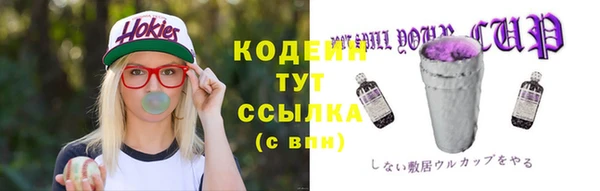 хмурый Касимов