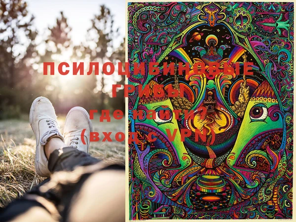 PSILOCYBIN Каменск-Шахтинский