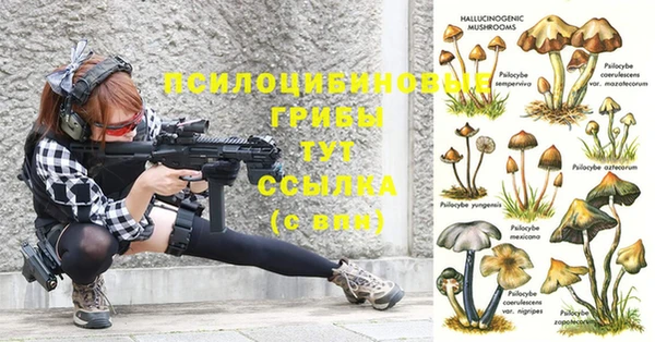 a pvp Каменногорск