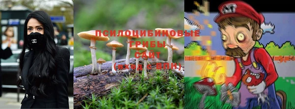 хмурый Касимов