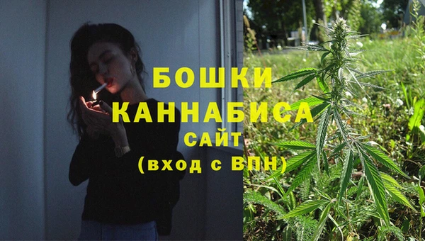 хмурый Касимов
