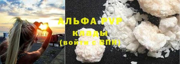хмурый Касимов